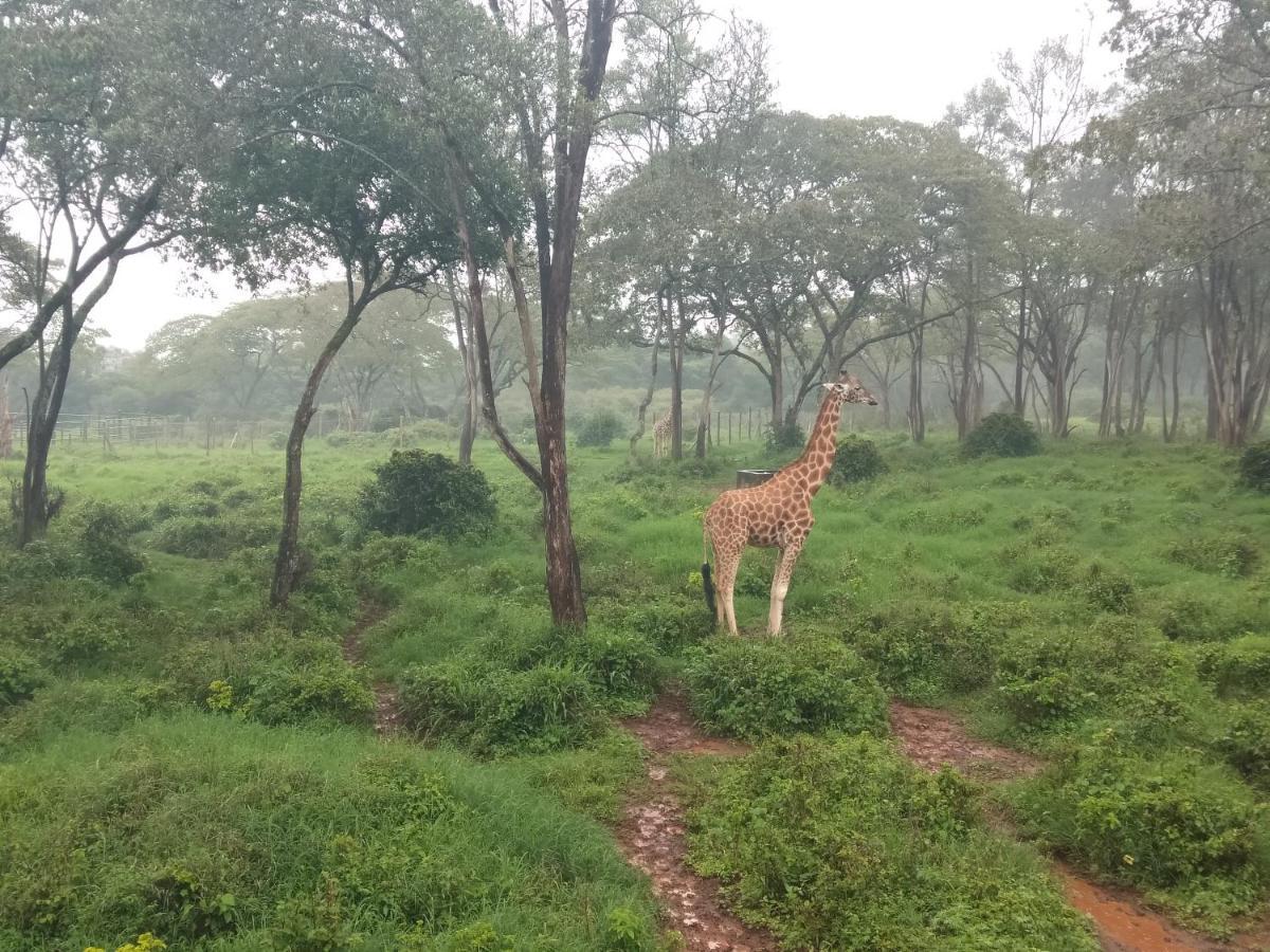 Elimurk Bnb Near Jkia N Sgr 나이로비 외부 사진